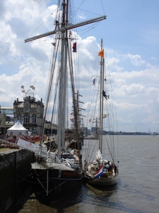Antwerpen  Tall Ships Race (26)