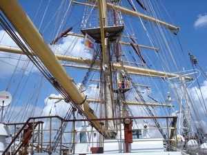Antwerpen  Tall Ships Race (28)