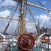 Antwerpen  Tall Ships Race (32)