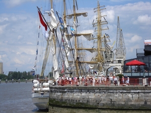 Antwerpen  Tall Ships Race (33)