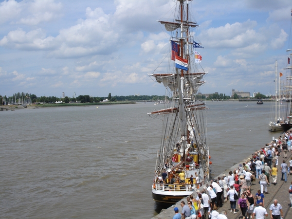 Antwerpen  Tall Ships Race (37)