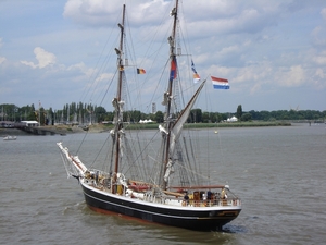 Antwerpen  Tall Ships Race (39)