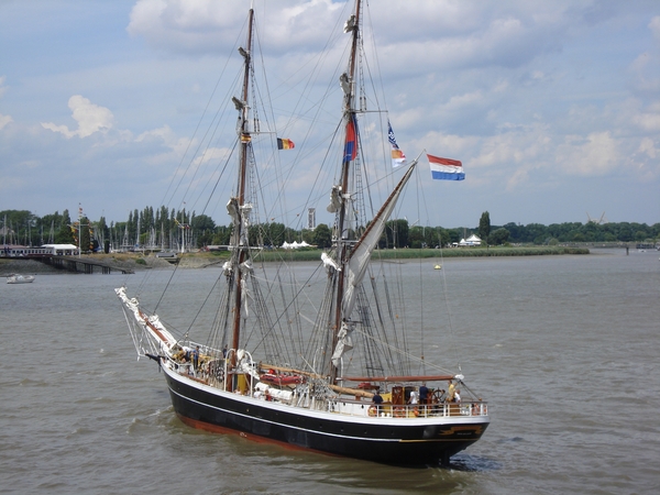 Antwerpen  Tall Ships Race (39)