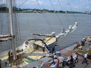 Antwerpen  Tall Ships Race (4)