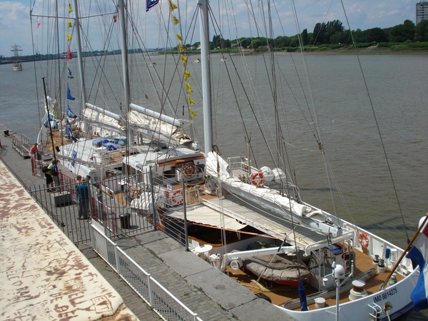 Antwerpen  Tall Ships Race (5)