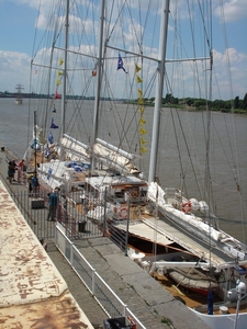 Antwerpen  Tall Ships Race (6)