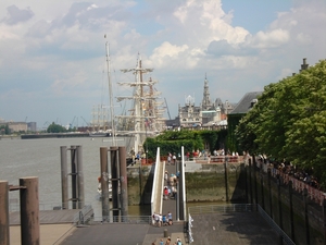 Antwerpen  Tall Ships Race (7)