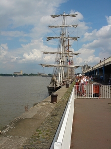 Antwerpen  Tall Ships Race (9)