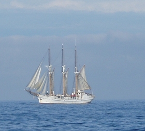 Zeilen klaarzetten
