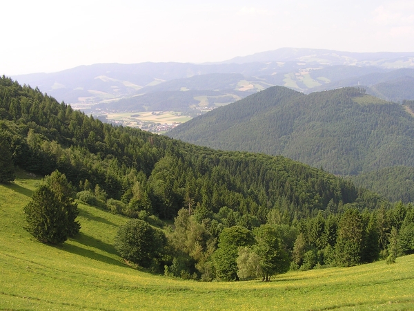 Der Schwarzwald - The Black Forest - Zwarte Woud
