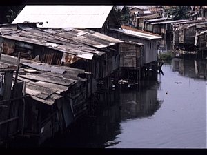 Krotten in Jakarta