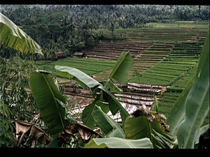 Botanische Tuin Kebun Raya