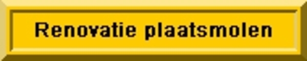 logo plaatsmolen