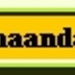 logo zm2009