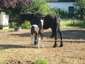 10.07.18.BASSEVELDE.MOEDER EN ZOON