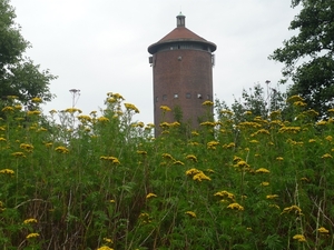 10.07.25.ZELZATE.WATERTOREN DOOR ST JANSKRUID