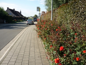 10.08.28.KANEGEM BLOEMENDORP