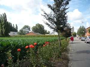 10.08.28.KANEGEM BLOEMENDORP