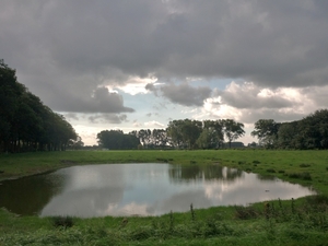 10.09.17.BOEKHOUTE DREIGENDE WOLKEN