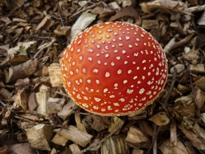 10.09.19.LEMBEKE.EEN SCHOONTJE