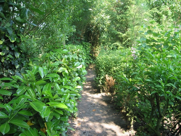tuinpad Hasselsgracht