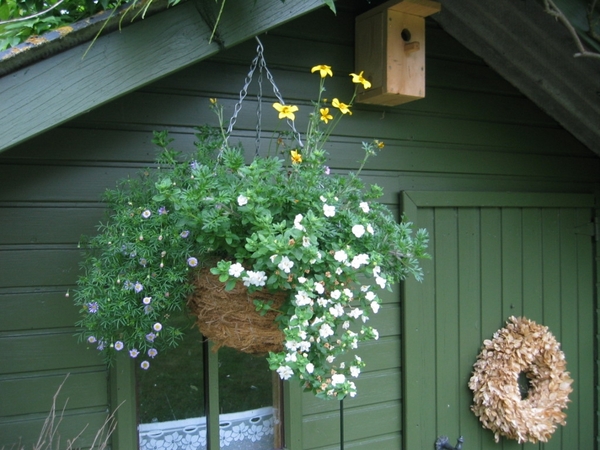 Bloemhanger bij mezenbakje