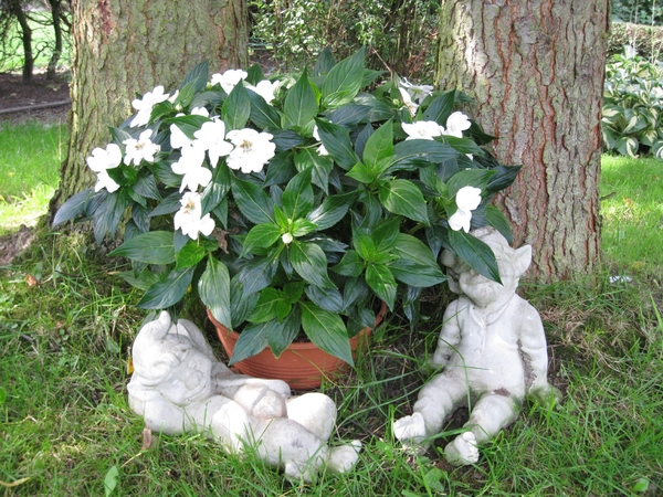 Lui zijn onder ''vlijtig'' liesje