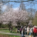 KEUKENHOF 2010 019