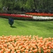 KEUKENHOF 2010 038