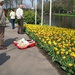 KEUKENHOF 2010 041