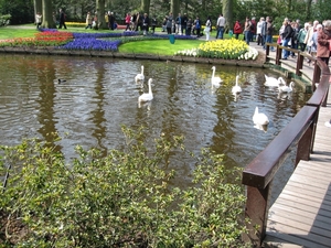 KEUKENHOF 2010 044