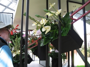 KEUKENHOF 2010 052