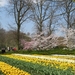 KEUKENHOF 2010 074