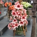 KEUKENHOF 2010 080
