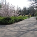 KEUKENHOF 2010 097