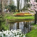 KEUKENHOF 2010 108