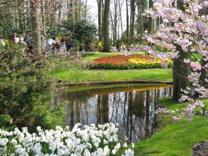 KEUKENHOF 2010 108