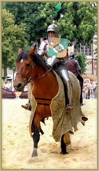 sized_sized_DSC21264a ruitertornooi-