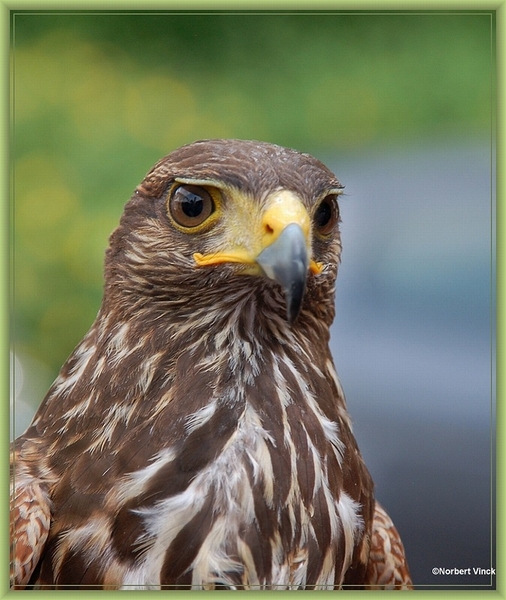 sized_sized_DSC21322a middeleeuws dorp