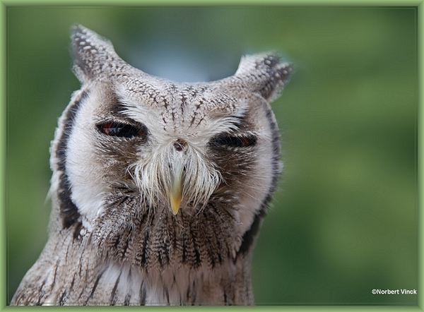 sized_sized_DSC21336a uiltje