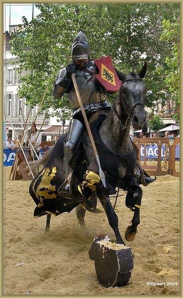 sized_sized_DSC21379a riddertornooi