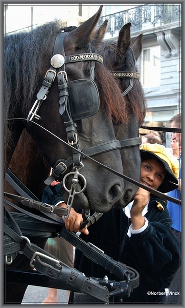 sized_sized_DSC21474a