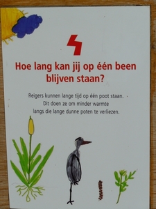 DSCN0077