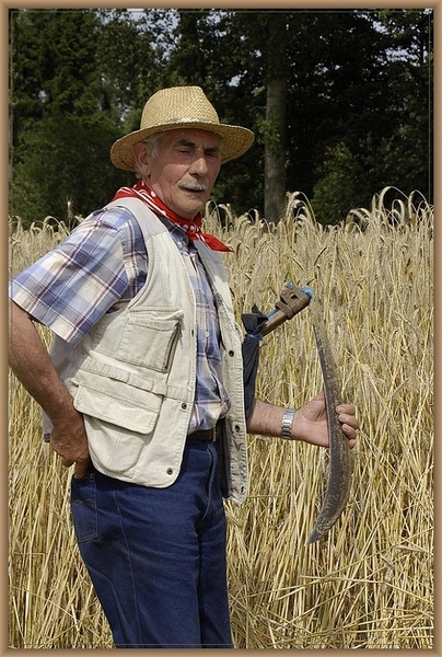 sized_sized_DSC11277a veld