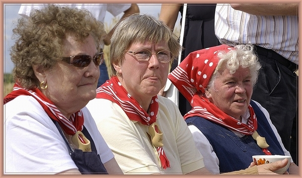 sized_sized_DSC11284a vierurrtje op het veld