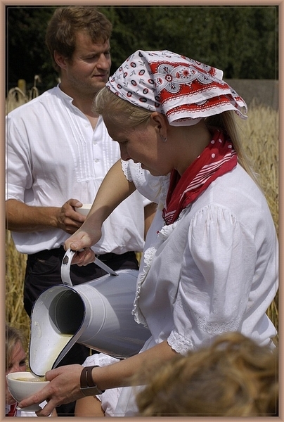sized_sized_DSC11295a vierurrtje op het veld
