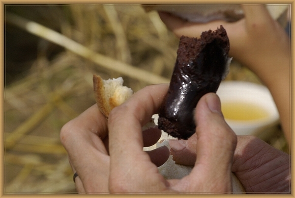 sized_sized_DSC11303a vieruurtje-zwarten trip