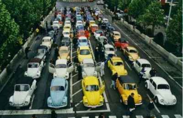 Kever in Brussel (Bugs)