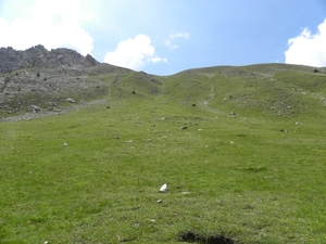 DSCN0001