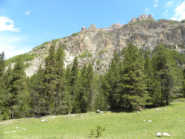 DSCN00018